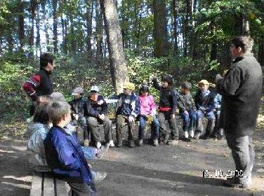 umweltbildung_waldprojekt